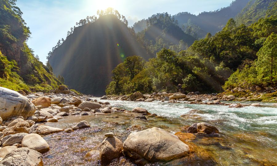 Gori Ganga mountain river at sunrise surrounded with dense forest at Munsiyari, Uttarakhand, India. 