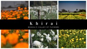Khirai-Bengal’s Valley of Flower
