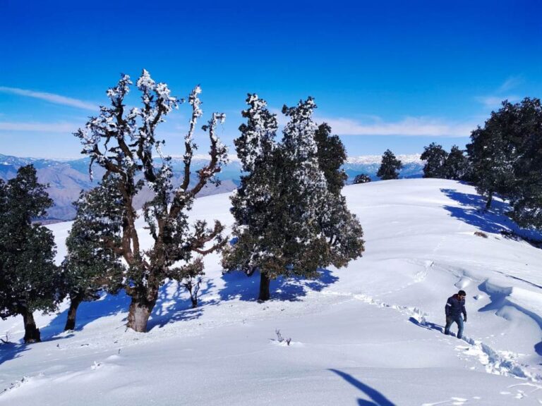 Nag Tibba Trek Guide