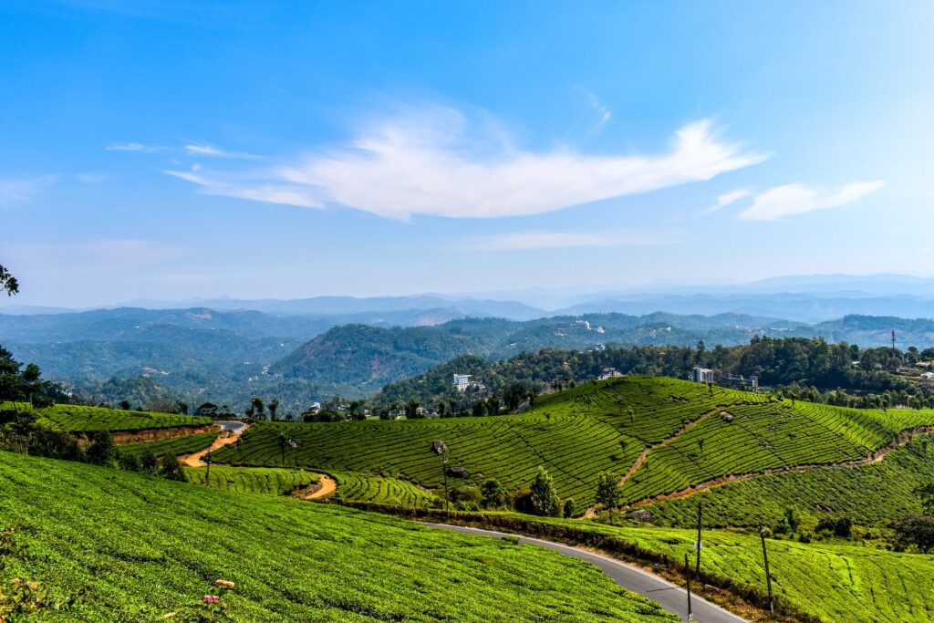 Munnar- A Female Solo Traveller destination