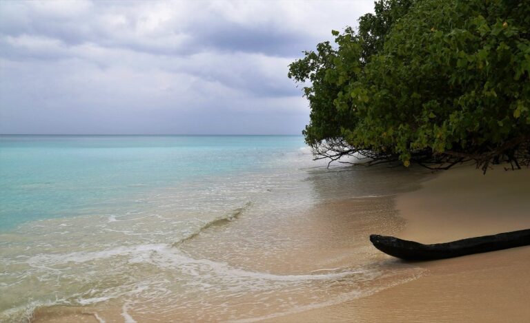 5 Monsoon Destinations in India: Exploring Nature’s Splendor