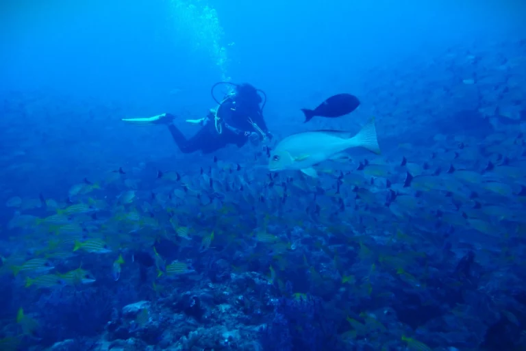 Part 1: 3 Exhilarating Adventure Activities to Experience in India