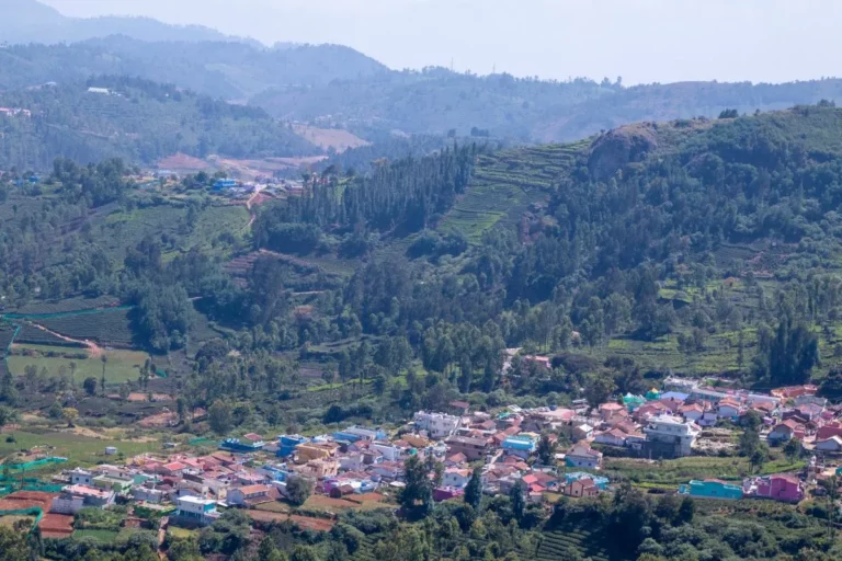 Discover Ooty’s Perfect Stay: A Guide to Finding Your Ideal Accommodation