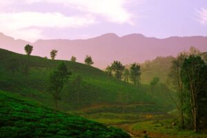 Top 5 South Indian Summer Escapes for Wanderlusts