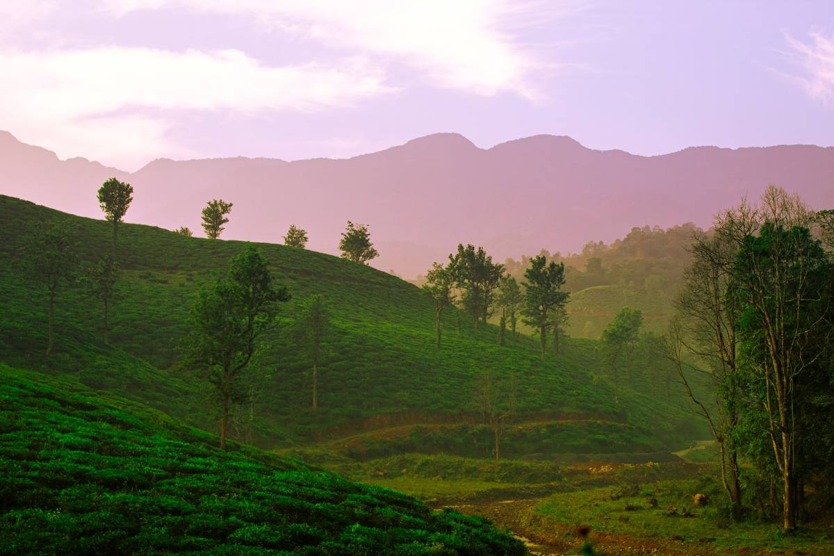 Top 5 South Indian Summer Escapes for Wanderlusts