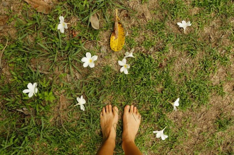 Feel the Earth, Heal Yourself: The Surprising Benefits of Grounding