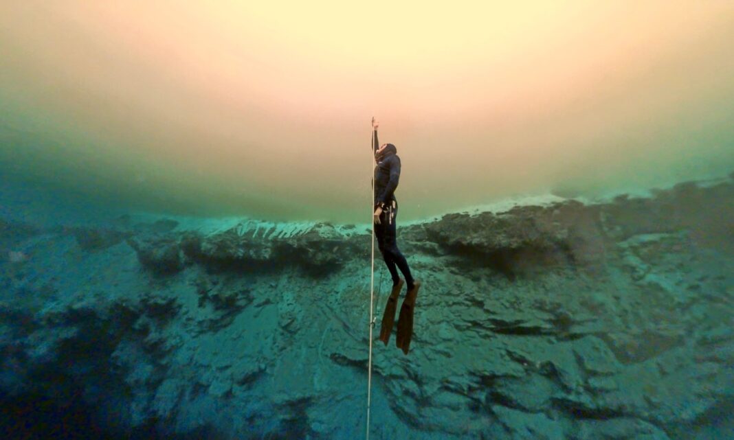 cenote freediving
