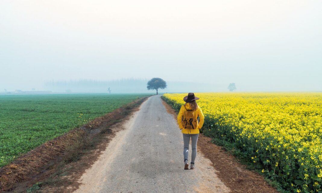 Explore India in November- December