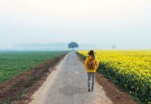 India Tourism in November–December 2025: A Fresh Look at What’s New, What’s Rising, and What to Try Explore India in November- December