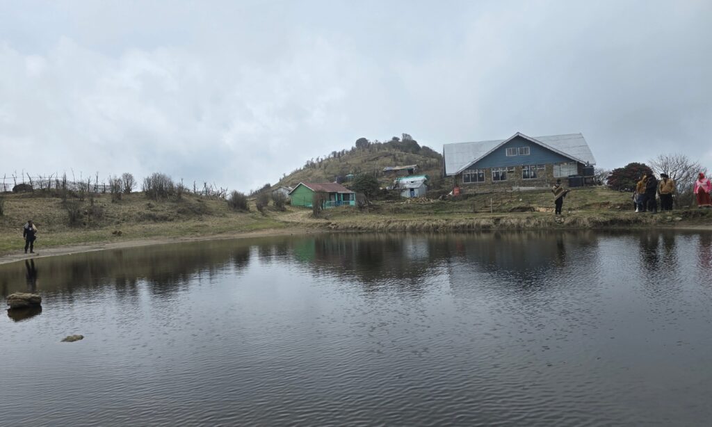A misty afternoon beside the small pond at Tonglu