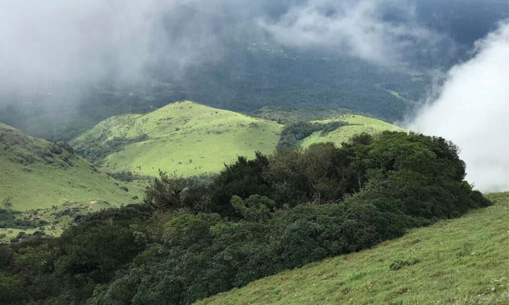Tadiandamol Trek