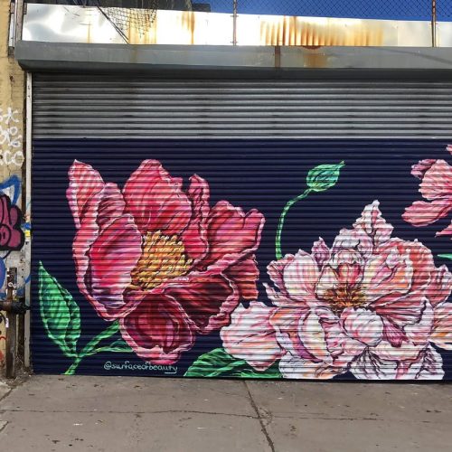 5 Dark Flower Murals to Create a Striking Space